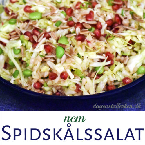 Spidskålssalat