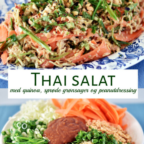 Thai salat med quinoa og peanuts
