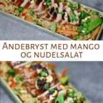 Andebryst med mango og nudelsalat2