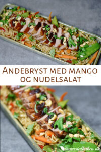 Andebryst med mango og nudelsalat2