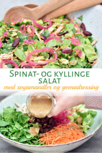 Spinatsalat med kylling, soyamandler og gomadressing