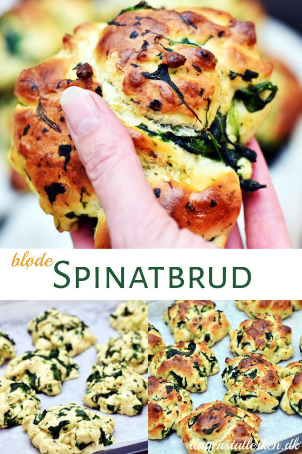 Spinatbrud