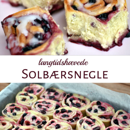 Solbærsnegle