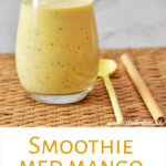 Smoothie med mango og kokos
