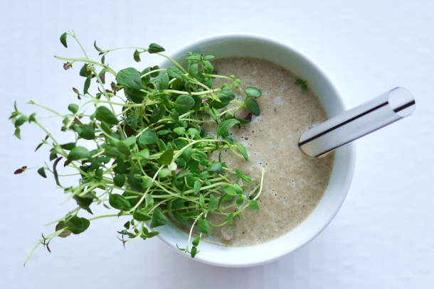 Svampesuppe med timian