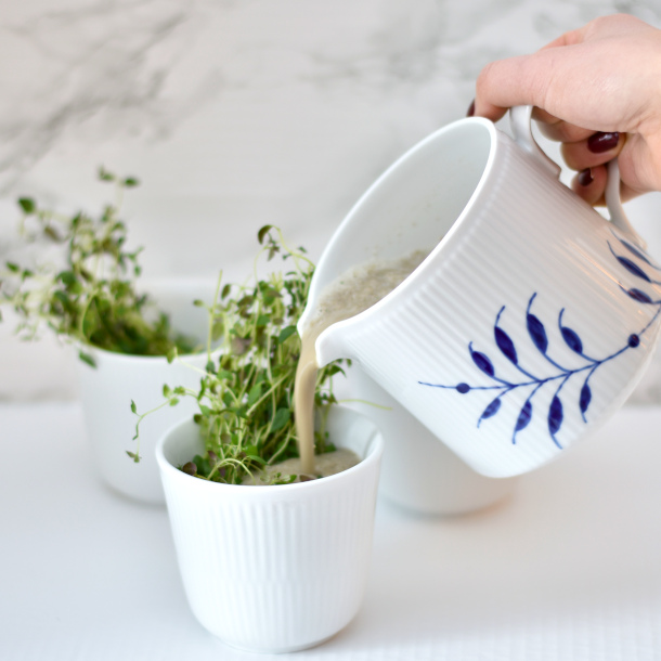 Svampesuppe med timian